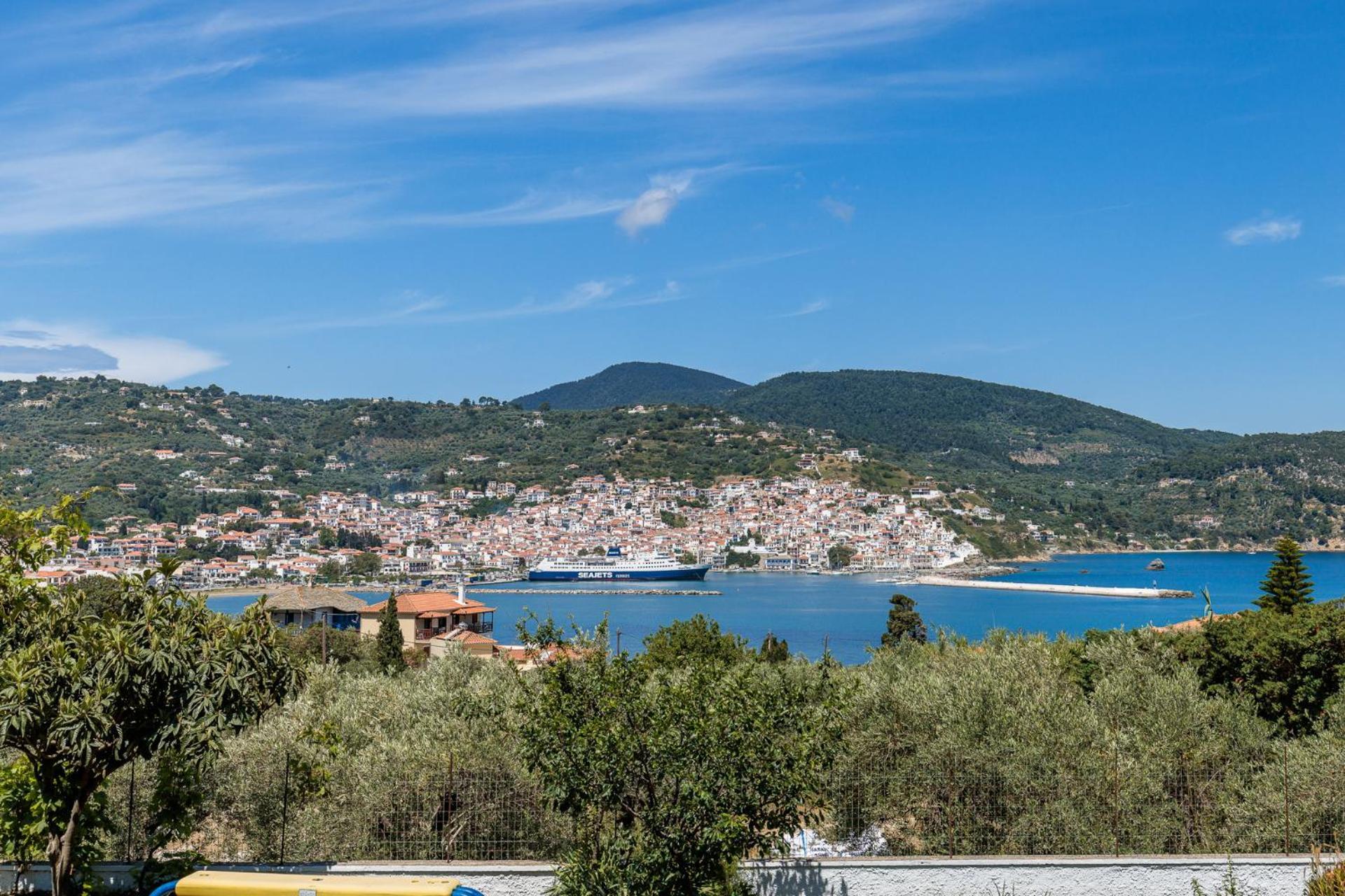 Anesis Apartment 2 Fireplace Σκόπελος Εξωτερικό φωτογραφία